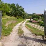 Castel D'alfiolo-barcomonte 农家乐