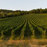 Castel D'alfiolo-barcomonte * Gubbio