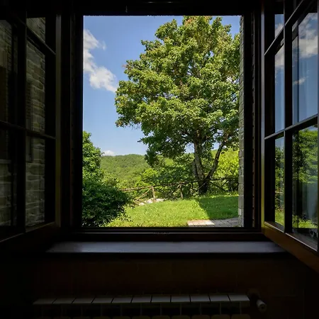 Castel D'alfiolo-barcomonte *