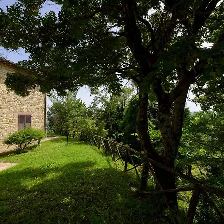 Castel D'alfiolo-barcomonte