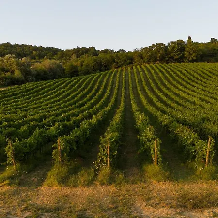 Castel D'alfiolo-barcomonte * Gubbio