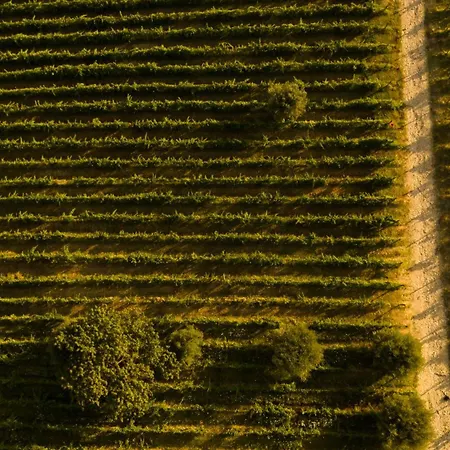 Farmház Castel D'alfiolo-barcomonte