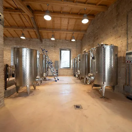 Castel D'alfiolo-barcomonte