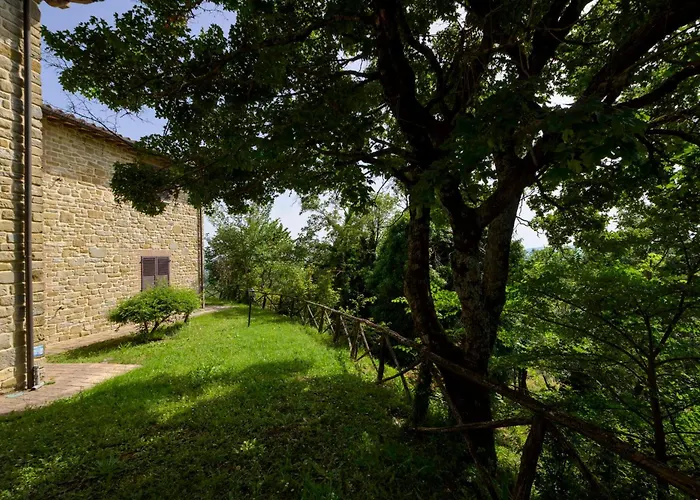 Castel D'alfiolo-barcomonte