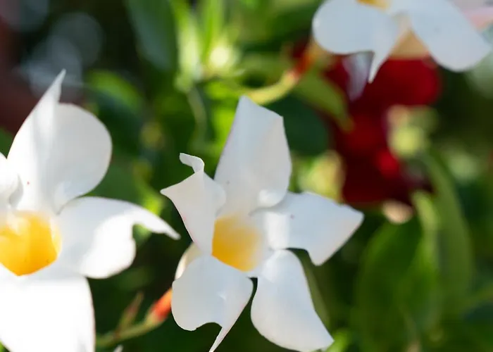 Castel D'alfiolo-barcomonte Alojamento de Turismo Rural Gubbio