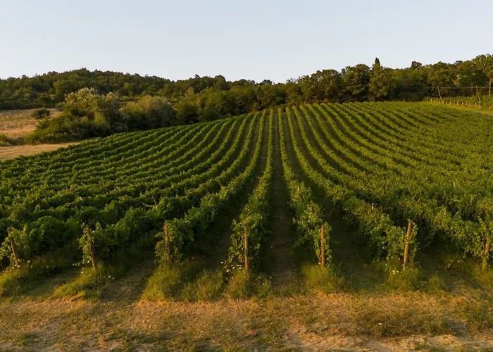 Castel D'alfiolo-barcomonte * Gubbio