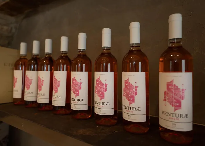 Alojamento de Turismo Rural Castel D'alfiolo-barcomonte *