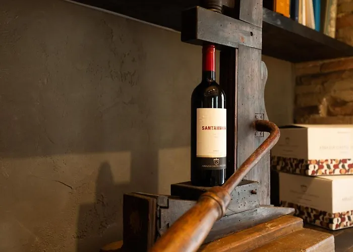 Castel D'alfiolo-barcomonte Alojamento de Turismo Rural